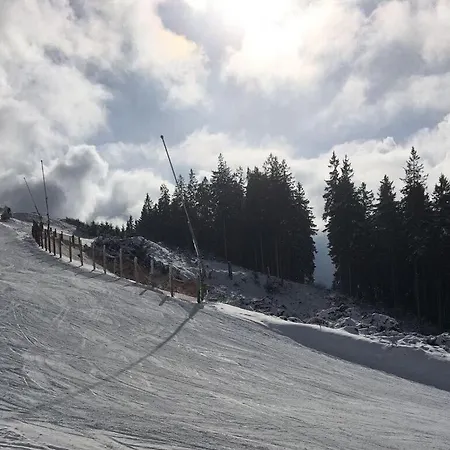 Comfortable Vakantiehuis Winterberg